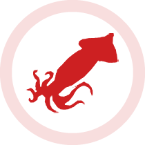 bCJbSQUID
