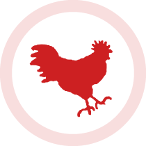 {bƂbgbCHICKEN