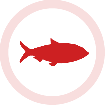 ibtCbFISH